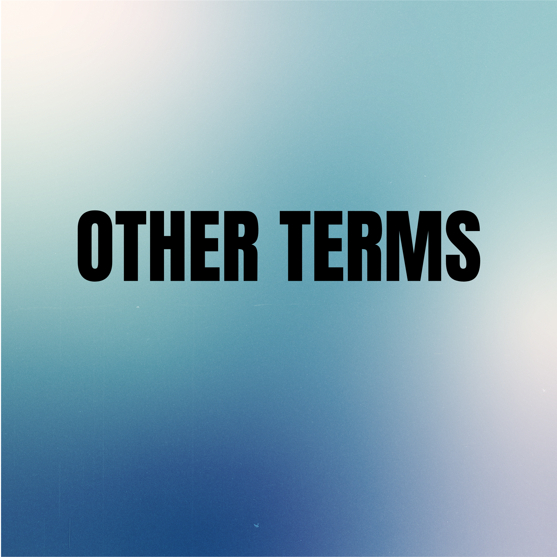 Other Terms